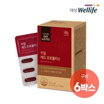 대상웰라이프 리얼 레드 프로폴리스 지함 800mgx30캡슐x6박스, 없음