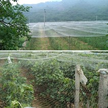 그물망 정원 잡기 새 트랩 net anti bird mist net mesh protect net hole orchard park bird-prevention anti bird, 6x2m, 협력사