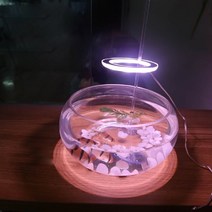 LED 엔젤 실내재배 화분 식물 성장등 다육이 생장 5W 링라이트 조명 전구 램프, 엔젤식물등A_화이트&핑크