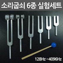 음차 공명 실험 알루미늄 소리굽쇠 6종세트 기자재 금속 음높이 연구실 방과후 관찰 교구 순음 주파수