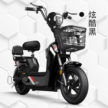 전기자전거 장거리 2륜 배터리 자전거, 2 12A 납산 오리지널 배터리 - 약 60km  쿨, 48V