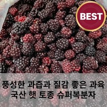 새콤달콤 풍성한 과즙 햇 토종 블랙베리 슈퍼복분자 3kg 5kg 복분자주 복분자액기스 복분자잼 벌크 대용량, 23년 햇 슈퍼복분자(블랙베리)지퍼백1kgx3개, 3개