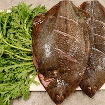 도다리쑥국 도다리회 봄도다리회 모둠회 오늘회, 도다리쑥국 800g