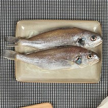 프리미엄 싱싱테이블 삼천포 자연산 반건조생선 자반선물세트 D, 자반용D세트, 쿠팡 본상품선택