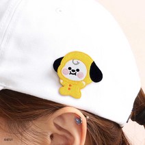 [BT21] 베이비 와펜 뱃지 L