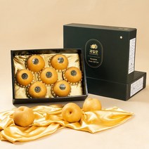 과일꾼 산지직송 나주배 ( 가정용 / 과일선물세트), 1box, 선물용 프리미엄 7.5kg 8과내