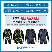 동현테크 [세계 최초 프리사이즈 안전벨트] - 죔줄 1개 벨트O, Free-S-N-01 (형광색) 벨트O