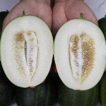 고령 메론 산지직송 파파야멜론 파파야메론 2kg 3kg 5kg 후숙없이먹는메론, 5kg 8-15과, 1개
