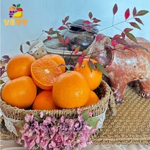 제주 고당도 천혜향 3kg 5kg 10kg 실속형 가정용 제철 귤로장생 산지직송, 천혜향 실속형 3kg (8 ~14과)