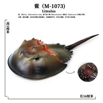 바다동물 우수함 리얼 해양 동물모형 구룡 새우 팽귄 뒤집게 오징어 농어 상고 생물 수반 2035983238, PL127 -1073 투구게