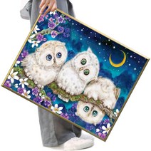파센 DIY 보석 십자수 캔버스형 50 x 40 cm, 40x50 cm, FSE26.부엉이 가족3