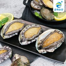 은하수산 살아서 가는 완도 활 전복 1kg 특대 / 선물 / 라면 / 요리용 / 버터구이, 04.완도 대 활전복 1kg(11-15미)