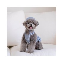 [갤러리아] 꼴레트멍멍오로라 데님 강아지모자 마이리틀독, 핑크