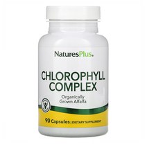 Natures Plus Chlorophyll 엽록소 복합 알파파 1개, 3개