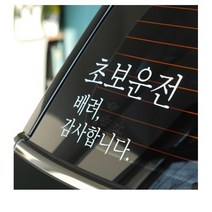 더블제이디자인 초보운전 스티커 200 x 130 mm, 흰색, 3개