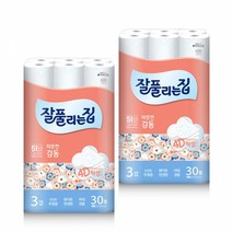 미래생활 잘풀리는집 3겹 따뜻한 감동 25M 30롤 X 2팩(60롤) 롤화장지, 30개입, 2개