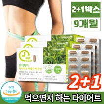 다이어트 카테킨 인도산 녹차 추출물 정 비오틴 파파인 레몬밤 모로오렌지 마테 그린 커피빈 와일드망고 풋사과 석류, 2+1박스