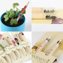 특별한 선물 씨앗연필 키우기 책상 기르기 꽃 식물, 누리겟쿠팡 방울토마토