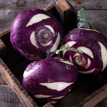 2022년 제주 신선한 햇 적 콜라비 3kg 5kg 10kg, 04_콜라비 10kg