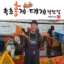 [속초 산지직송] 예원수산 제철홍게 생물 자숙(찜) 라면용 실속형 정품형 박달형 홍게택배, 1박스, 생물 정품홍게(대) 3kg(5-6미)