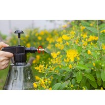 단지형 투명 압축분무기 화분분무기 세차분무기 자동분무기 수동분무기 화분분무기 세차분무기, 그린