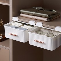 레드캣 모던 컬러 옷장 선반 걸어서 쓰는 다용도 속옷 의류 정리함, 칸막이없는 그린