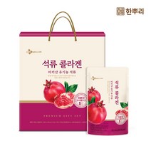 CJ웰케어 한뿌리 석류 콜라겐 선물세트 24포, 50ml