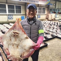식품애착 흑산도 홍어 100% 국산 참홍어 산지직송, 흑산도 싱싱 홍어 1kg+홍어애(증정), 중간 삭힘