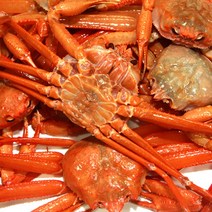 영덕 강구항 영덕박달홍게 마리당 400g내외 수율 80~90%, 1박스, 박달홍게 5마리 (마리당 400g내외 수율80~90%)