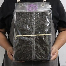 진도 햇 곱창김 잇바디돌김 지주식곱창김, 곱창김 프리미엄 100장