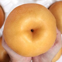 평택배 배한상자 황금배 햇배 배한박스 배선물세트 7.5kg, 1박스, 명품형 7.5K