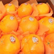 룰루네상점 제주 레드향 5kg 로얄과 (30과 내외) 선물포장 고당도 서귀포 감귤