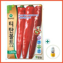 2023 고추종자 티탄볼트 1200립 복합내병계 칼라병 저항 씨앗 + 뿌리나원500ml 농사친구, 티탄볼트1200립+뿌리나원500ml