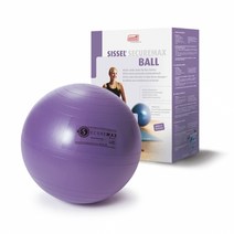 시셀 시큐어맥스 짐볼 다이어트운동 홈트레이닝 짐볼