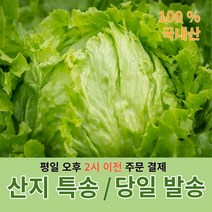 케이토마토 전남화순 GAP 인증 대추방울토마토, 2kg, 1개