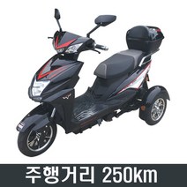 주행거리 250km 전동삼륜차/3륜오토바이/전동오토바이 BG003, 상세페이지 참조