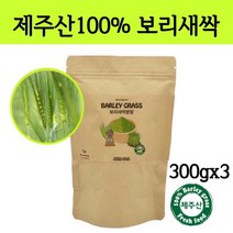 새싹 보리순 분말 국산 보리새싹 뿌리 가루 파우더 차 어린잎 착즙 푸른보리 클렌즈 폴리코사놀 사포나린 내장지방 독소빼는 중금속없는 간헐적 단식 효능 먹는법, 300g, 3봉