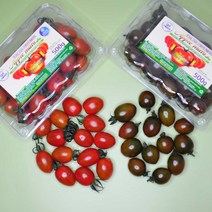 스테비아 대추 방울 애플 토마토 토망고 1kg 2kg 산지직송, 애플마토 2kg