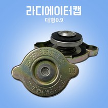 라디에이터캡 라지에타 라지에다캡 0.9대형차 국내산 정품 OEM, 1개