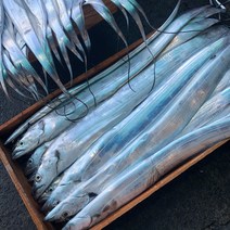 진짜제주 오늘잡은 당일바리 100% 제주 생물 갈치 동문시장 산지직송, 300g내외(4마리), 1박스