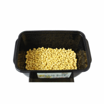 콩나물키우기 세트 콩 100g 포함