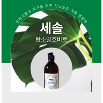 세솔 식물 영양제, 1개