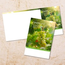 교회주보 예배 주보용지 3단6면 주보지 안내지 전도지 절기 부활절 추수감사 맥추감사 성탄절 신년감사 디자인 기독교용품, EW-20