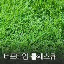 코리아팜 터프타입 톨훼스큐1kg