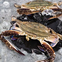 국내산 서해안 제철 꽃게 1kg 가을 활꽃게 햇꽃게 숫꽃게 급랭 봄 암꽃게 선물세트, 7. [급랭]암꽃게 대 1kg