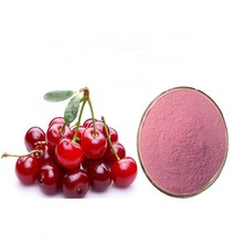 타트체리농축분말 1kg, 단품, 단품