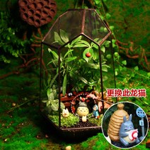 테라리움 키트 글래스 하우스 이끼테라리움 만들기 DIY 비바리움, 나무밑의즐거움(조립)