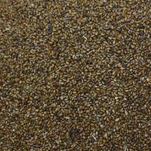 자연나라닷컴 결명자 1kg 결명자차 결명차 국내산