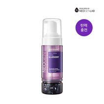 리얼 프레쉬폼 블루베리 160g (버블폼/수분케어)