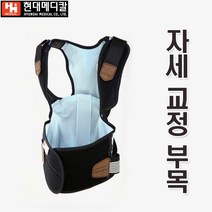 자세교정 부목 허리보호대 척추보호대 어깨보호대 조끼형 어깨교정 바른자세 튜빙밴드 허리부목 교정부목 허리벨트 병원 관공서 학교, XL